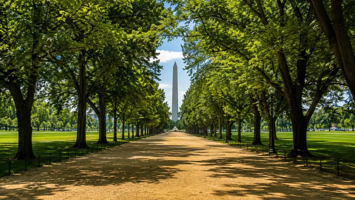 Die Wege entlang der National Mall zwischen dem Washington Monument und dem Lincoln Memorial